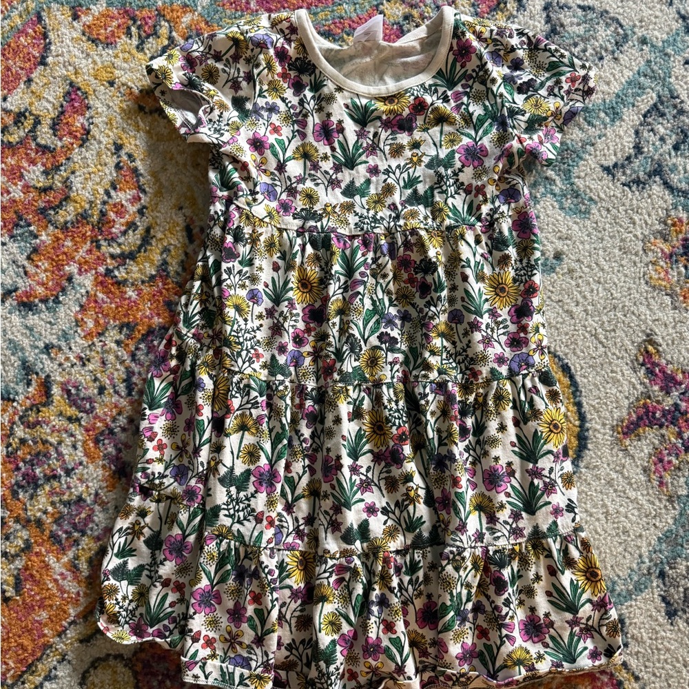 Hanna Anderson dress lot